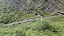 BISINNA 戶(hù)外露營(yíng)車(chē)折疊推車(chē)大容量可坐人躺逛遛娃營(yíng)地車(chē)超大號手推車(chē) 咖啡色 500L 有剎車(chē) 坦克輪 曬單實(shí)拍圖