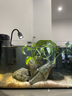 派樂(lè )特 魚(yú)缸造景骨架膠水族沉木莫斯樹(shù)根水草鵝卵石頭粘結100g 曬單實(shí)拍圖