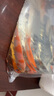 錦鯉活魚(yú)觀(guān)賞魚(yú)冷水魚(yú)淡水魚(yú)錦鯉活體魚(yú)苗錦鯉魚(yú)苗紅白錦鯉大型 紅白5條三色4條10-13cm 曬單實(shí)拍圖