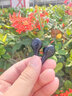 擊音【4麥降噪+0延遲感】6.0藍牙耳機無線入耳式 電競游戲吃雞聽聲通話音樂長續(xù)航 適用蘋果華為手機男 曬單實拍圖
