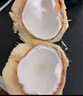 佳沃 JOYVIO泰國進(jìn)口椰青香水椰子 6個(gè)裝 中果800g+ 水果 源頭直發(fā) 新鮮水果 曬單實(shí)拍圖