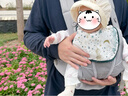 ERGObaby二狗背帶嬰兒抱娃神器四季透氣外出旅行遛娃神器breeze解放雙手 【店長(cháng)力薦】breeze透氣款珍珠灰 曬單實(shí)拍圖
