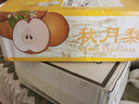 壹萌果蔬正宗山東冰糖梨脆甜當季新鮮秋季月豐水梨水果中秋送禮整箱發(fā)出 【禮盒裝】5斤甄選果【250g】?jì)?.5斤 曬單實(shí)拍圖