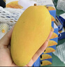 中秋送禮海南三亞特大水仙芒當季新鮮青甜整箱批發(fā) 9斤 [甄選特大果]單果1.3斤+ 曬單實(shí)拍圖
