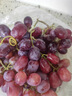 春果蔬 新鮮無(wú)籽克倫生紅提葡萄克倫生葡萄爆甜新鮮特甜無(wú)籽葡萄 【順豐彩箱】?jì)糁?.7-3斤裝 【克倫生紅提】紙箱+氣柱包裝 曬單實(shí)拍圖