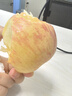 京地達煙臺棲霞紅富士蘋(píng)果凈重4.5斤單果約230g煙臺蘋(píng)果水果源頭直發(fā) 曬單實(shí)拍圖