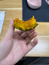 京鮮匠山東真貝貝南瓜正宗 栗香老瓜 粉糯香甜小南瓜 新鮮蔬菜源頭直發(fā) 精品裝 凈 4.5斤 曬單實(shí)拍圖