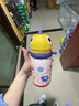babycare兒童保溫杯嬰兒寶寶吸管水杯霸王龍不銹鋼保溫杯300ml-新舊款混發(fā) 曬單實(shí)拍圖
