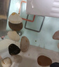 闊庭（KUOTING）烏龜缸桌面透明生態(tài)烏龜缸烏客廳水族箱白色 曬單實(shí)拍圖