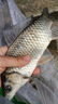 禧瑪諾機械師路亞竿威海漁具魚(yú)竿全套M L調泛用翹嘴鱸魚(yú)鱖魚(yú)竿碳素路亞桿 1.68m 直柄M調單竿 1.98米 曬單實(shí)拍圖