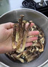 京鮮生云南鹿茸菇干貨凈重1斤 當季新貨脆嫩爽口火鍋煲湯小炒源頭直發(fā) 曬單實拍圖