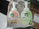 滴露（Dettol）泡沫洗手液西柚250ml+青檸250ml 泡泡洗手液補充裝兒童抑菌消毒 曬單實(shí)拍圖