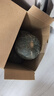 果悠喜 正宗貝貝南瓜 粉面香甜小南瓜 新鮮蔬菜香甜軟糯產(chǎn)地直發(fā) 【熱賣(mài)爆款】?jì)糁?4.5斤 3-8個(gè) 曬單實(shí)拍圖