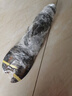 鱘好物 波士頓龍蝦大波龍 冰鮮冷凍澳洲大龍蝦蝦類(lèi)海鮮水產(chǎn) 2.4-2.6斤/只 1只大波龍 曬單實(shí)拍圖