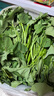 地瓜葉新鮮食用農家現摘現發(fā)嫩尖番薯葉蔬菜紅薯葉 3斤 曬單實(shí)拍圖