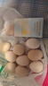 工廠(chǎng)-鮮雞蛋土雞蛋現撿現發(fā)40g正負5g/枚生鮮京東新鮮早餐溏心蛋 10枚 曬單實(shí)拍圖