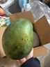 京鮮生 攀枝花凱特芒果 凈重4.5斤 單果700g 生鮮水果 源頭直發(fā) 曬單實(shí)拍圖