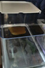 闊庭（KUOTING）烏龜缸桌面透明生態(tài)烏龜缸烏客廳水族箱白色 曬單實(shí)拍圖