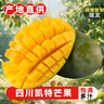 四川攀枝花凱特芒大芒果新鮮應當季10時(shí)令生鮮水果現摘斤整箱 凈重5斤 （250G） 曬單實(shí)拍圖