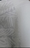 紅袖（hopeshow）輕熟針織衫2025冬季新款女裝提花木耳邊喇叭袖立領(lǐng)時(shí)尚洋氣上衣 本白001（預售10.19） L 曬單實(shí)拍圖