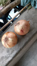 新鮮黃洋蔥黃金水果洋蔥即食蔬菜調(diào)料燒烤食材 新鮮黃洋蔥 500g 含箱 曬單實(shí)拍圖