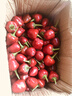 辰實(shí)【現(xiàn)貨】燈籠椒 子彈頭辣椒 新鮮草莓椒 紅辣椒海椒泡椒剁辣椒 5斤【現(xiàn)摘現(xiàn)發(fā)】紅色 曬單實(shí)拍圖