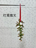 【團購優(yōu)惠】2025版53天天練一二三四五六年級下冊上冊語(yǔ)文數學(xué)英語(yǔ)人教教材同步隨堂練習冊曲一線(xiàn)5.3同步訓練人教版五三天天練5+3 語(yǔ)文【人教版】+數學(xué)【人教版】 二年級上冊【2025秋】 曬單實(shí)拍圖