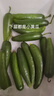 壽光水果黃瓜新鮮蔬菜小青瓜果蔬餐廳擺盤(pán)西餐開(kāi)胃光滑無(wú)刺清爽 帶箱5斤【代餐優(yōu)選】 曬單實(shí)拍圖