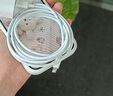 犀狼【國家3C認證丨直營(yíng)正品】適配蘋(píng)果45W原裝充電器頭快充iphone17/16promax/pd套裝15/14/13數據線(xiàn) 【原充正品】適配蘋(píng)果1米PD閃充線(xiàn) 【原充正品】國家3C+PD雙認證 曬單實(shí)拍圖