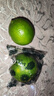 塔希提無(wú)籽青檸檬薄皮新鮮現摘青檸香水檸檬薄皮奶茶店專(zhuān)用包郵 【10個(gè)】塔希提青檸檬 單果50g 曬單實(shí)拍圖