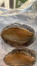 江船長(cháng) 冷凍大鮑魚(yú)凈重270g 10粒裝 去內臟 活鮑加工火鍋燒烤食材  曬單實(shí)拍圖