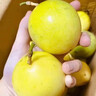 閩農(nóng)語果青州蜜桃高山現(xiàn)摘當季桃子整箱送禮山東蜜桃新鮮桃子5斤【普裝 | 20-26個左右】凈重4.5斤【老樹果，更香甜】 曬單實拍圖