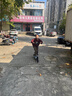 帝百倫滑板車(chē)成人代步兒童青少年通勤滿(mǎn)配款黑【雙剎+雙減震+折疊】 曬單實(shí)拍圖