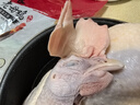 溫氏 供港富硒老母雞2.8斤 富硒農(nóng)家走地雞 月子湯散養(yǎng)500天以上 冷凍 曬單實(shí)拍圖