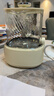九陽(yáng)（Joyoung）凈萃養生壺迷你家用全玻璃煮茶器 輕音燉煮 1L辦公室0金屬0膠水恒溫燒水壺 WY103 曬單實(shí)拍圖
