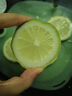 【果園現發(fā)】廣東香水檸檬新鮮一級果應水果無(wú)籽青檸檬奶茶店專(zhuān)用 70-100g 中果【嫩青果】 1斤 曬單實(shí)拍圖
