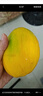 京鮮生 攀枝花凱特芒果 凈重8.5斤 帶箱9斤 單果500g+ 生鮮水果源頭直發(fā) 曬單實(shí)拍圖