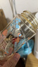 貝親（Pigeon）PPSU雙把手防脹氣奶瓶240ml 叢林小兔 M號奶嘴 3月+ AA218 曬單實(shí)拍圖