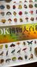 當當正版童書(shū) DK百科全書(shū)系列 dk博物大百科可選 精裝全彩科普百科全書(shū) DK兒童百科全書(shū) 太空恐龍植物百科全書(shū) 6-7-9-10-12-14歲 小學(xué)生科普百科課外推薦書(shū)籍 【可點(diǎn)讀】DK博物大百科（ 曬單實(shí)拍圖