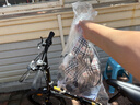 永久折疊自行車(chē)成人男女士變速超輕便攜學(xué)生單車(chē)上班代步通勤車(chē)免安裝 黑色 20寸 變速 輻條輪 曬單實(shí)拍圖