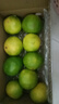 探味先生【產(chǎn)地直發(fā)】恐龍蛋翡翠爆汁葡萄柚新鮮應季水果香甜多汁現摘現發(fā) 凈重4.5斤單果約150-300g 曬單實(shí)拍圖