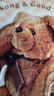 Rene Little Bear香港小熊曲奇餅干辦公室休閑甜品零食教師節禮物 兒童早餐點(diǎn)心 花曲混合(原味+抹茶+咖啡)505g 曬單實(shí)拍圖