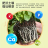 彩樂(lè )植稻殼炭熏碳谷殼碳草木灰補鉀改良土壤有機通用園藝 20升 彩樂(lè )植稻殼炭  重量3.6-4斤 曬單實(shí)拍圖