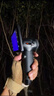 HIKMICRO ?？禑岢上馝C10紅外夜視儀戶外手持熱成像儀熱搜觀鳥野外搜索 ?？敌缕稥C10（320分辨率） 曬單實拍圖