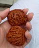 自由說(shuō)四座樓文玩核桃精品把玩盤(pán)玩官帽獅子頭手把件桃核手玩麒麟紋古玩 39-40mm 曬單實(shí)拍圖