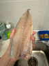 繽鮮 挪威青花魚(yú)片 5片裝 生鮮鯖魚(yú) 新鮮冷凍青魚(yú)鮐魚(yú)似鲅魚(yú) 魚(yú)類(lèi)海鮮 1000g【170-220g/片】?jì)糁?片 曬單實(shí)拍圖
