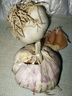 山東大蒜【中果】新鮮干蒜紫白皮大蒜農家新蒜頭生鮮蔬菜調味辛辣 大蒜中果3.5-4.5cm【凈重 100g 】 曬單實(shí)拍圖