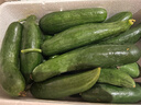 壽光水果黃瓜山東時(shí)令果蔬小青瓜蔬菜火鍋食材清脆爽口產(chǎn)地直發(fā) 水果黃瓜帶箱5斤【劃算】 曬單實(shí)拍圖