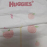 好奇（Huggies）鉑金裝小桃褲紙尿褲M(mǎn)92片(6-11kg)中號尿不濕【透爽散熱】 曬單實(shí)拍圖