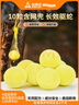 尚烤佳（Suncojia）驅蛇粉雄黃粉5斤桶裝硫磺粉戶(hù)外強力長(cháng)效高純防蛇藥農村院子趕蛇 曬單實(shí)拍圖